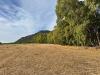 Terreno Agricolo in vendita a San Vito in strada dell'erica - 10, Foto 10