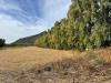 Terreno Agricolo in vendita a San Vito in strada dell'erica - 04, Foto 4
