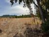 Terreno Agricolo in vendita a San Vito in strada dell'erica - 07, Foto 7