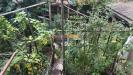 Casa indipendente in vendita con giardino a Termeno sulla Strada del Vino - 04