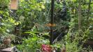 Casa indipendente in vendita con giardino a Termeno sulla Strada del Vino - 06