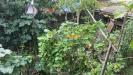 Casa indipendente in vendita con giardino a Termeno sulla Strada del Vino - 07
