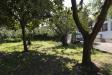 Casa indipendente in vendita con giardino a Campi Bisenzio - 07