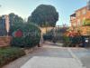 Appartamento in vendita da ristrutturare a Ardea - 10, 18.jpeg
