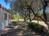 Terreno Edificabile in vendita a Roma - 07, 1 (8).jpg