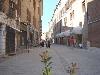 Negozio in affitto a Ferrara in via cortevecchia - 05, Foto 5