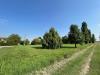 Terreno Edificabile in vendita a Ferrara in via alceste ricciarelli - 06, Foto 6