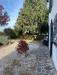 Casa indipendente in affitto con giardino a Ferrara in via ponte rosso - 05, Foto 5