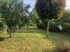 Casa indipendente in affitto con giardino a Ferrara in via ponte rosso - 07, Foto 7