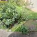 Appartamento in vendita a Colledara in via comboni - 07, Foto 7