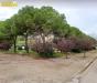 Appartamento in vendita con box a Giulianova in lido - 09, Foto 9