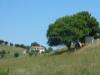 Casa indipendente in vendita da ristrutturare a Monteprandone - 04, Foto 4