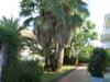 Appartamento in vendita a San Benedetto del Tronto - lungomare - 05, Foto 6