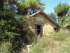 Casa indipendente in vendita a Colonnella - 04, Foto 4