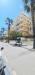 Appartamento in vendita a San Benedetto del Tronto - 05, Foto 5