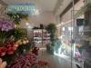 Locale commerciale in affitto a Vercelli in via nigra - 05, Foto 5