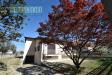 Casa indipendente in vendita con giardino a Caresanablot in via custoza - 02, Foto 2