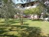 Villa in vendita con giardino a Massa - marina di - 03