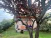 Villa in vendita con giardino a Massa - marina di - 03