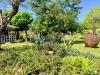 Villa in vendita con giardino a Massa - poveromo - 05