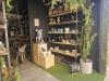 Locale commerciale in vendita a Cagliari in via giuseppe garibaldi - 03, Foto 3