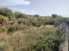 Terreno Agricolo in vendita a Santa Maria di Licodia - 03, Foto 3