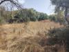 Terreno Agricolo in vendita a Santa Maria di Licodia - 04, Foto 4
