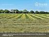 Terreno in vendita a Barberino di Mugello in localita' le caselle - vezzana - mangona snc - 04