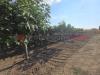 Terreno Agricolo in vendita a Taranto - 02, 2.jpg
