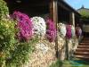 Villa in vendita con giardino a Terricciola - casanova - 02