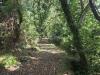 Rustico in vendita con giardino a Seravezza - giustagnana - 04
