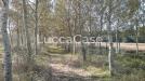 Villa in vendita con giardino a Vecchiano - migliarino - 03