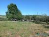 Terreno in vendita a San Clemente - 03