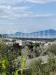 Terreno Agricolo in vendita a Bacoli - 05, WhatsApp Image 2023-09-26 at 10.10.51 (3).jpeg