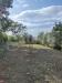 Terreno Agricolo in vendita a Bacoli - 03, WhatsApp Image 2023-09-26 at 10.10.35.jpeg