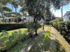 Villa in vendita con giardino a Forte dei Marmi - 04