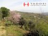 Terreno in vendita a Lastra a Signa - san ilario - 05