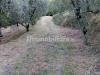 Terreno in vendita a Serravalle Pistoiese - 03, foto terreno Terreno agricolo in Vendita
