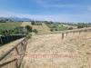 Terreno Agricolo in vendita a Monteprandone - 03, Foto 3