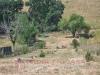 Terreno Agricolo in vendita a Monteprandone - 04, Foto 4
