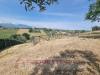 Terreno Agricolo in vendita a Monteprandone - 06, Foto 6