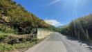 Terreno Agricolo in vendita a Monteforte Irpino - 04, Foto 4