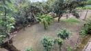 Casa indipendente in vendita con giardino a Forino - 03, Foto 3