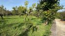 Villa in vendita con giardino a Contrada - 10, Foto 10