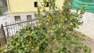 Villa in vendita con giardino a Monteforte Irpino in via gaudi - 04, Foto 4
