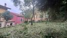 Casa indipendente in vendita con giardino a Monteforte Irpino - 07, Foto 7