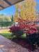 Villa in affitto con giardino a Vigarano Mainarda in via madonna boschi - 06, Foto 6