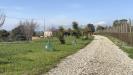 Villa in vendita con giardino a Tarquinia in via aurelia vecchia snc - 03, Foto 3