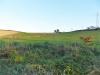 Terreno Agricolo in vendita a Tarquinia in localit bandita san pantaleo - 05, Foto 5