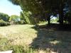Terreno Agricolo in vendita a Tarquinia in poggio della birba - 02, Foto 2